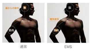 「シックスパッド アブズフィット」EMS